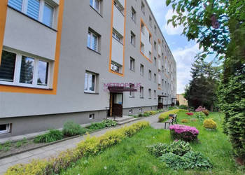 Oferta wynajmu mieszkania Rybnik 35m2 2-pokojowe