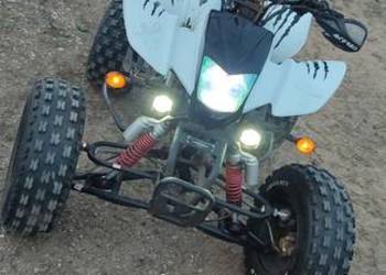 Quad Bashan 250