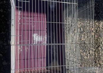 Klatki dla królika 2 +1