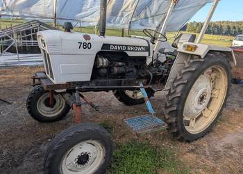 David Brown 780