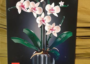 Nowe klocki LEGO Creator Expert 10311 - Orchidea