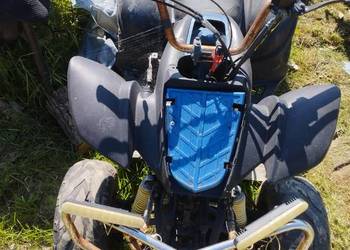 Witam sprzedam qadda