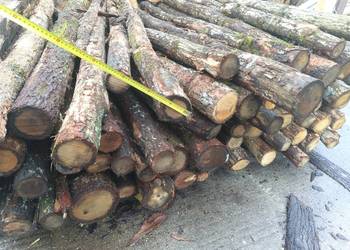 Drewno kominkowe i opałowe