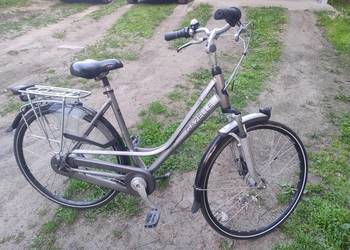 Rower damski Gazelle Paris D-49