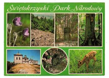 GÓRY ŚWIĘTOKRZYSKIE PARK DUŻA POCZTÓWKA