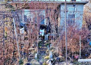 Murowana altana i bogaty sad – działka 2,5 ara z ogromnym potencjałem!