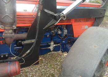 Same partner ciagnik