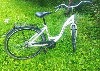 Rower Indiana 28"