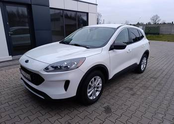 Ford Kuga biała perła, 4x4, automat, osoba prywatna