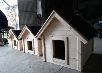 Buda dla psa solidne