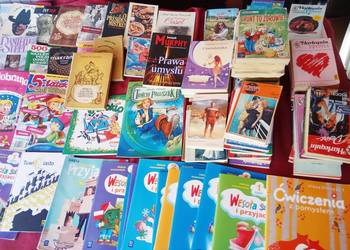 Pan Wołodyjowski Sienkiewicza