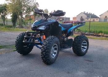 Quad Raptor 250