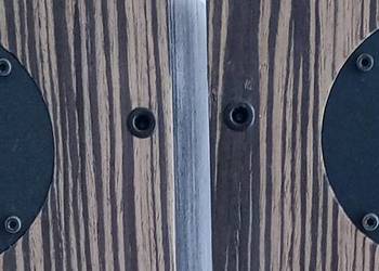 Stx T10.200.ALX głośnik wysokotonowy