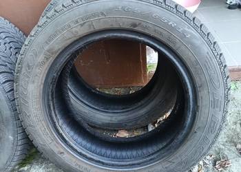 Opony zimowe Dębica Frigo 2 - 165/65 R14