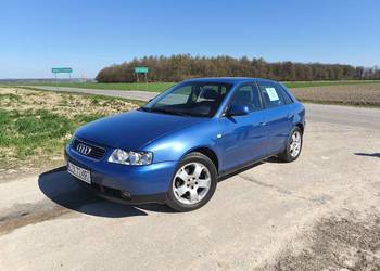 Audi A3 8l 1.9TDI 2001