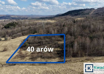 Działka Lutcza 4000m2