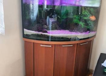 Akwarium narożne duże