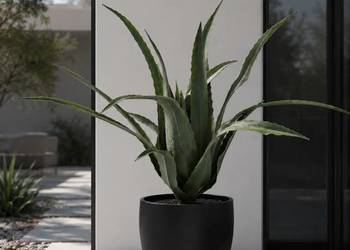 Sztuczny aloes 65 cm w doniczce - dekoracyjna roślina premium