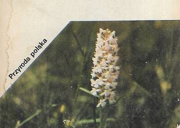 Ziemia Sądecka - J. Staszkiewicz, Z. Witkowski.