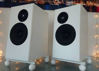 Hi-End Scan Speak Illuminator Revelator Rike Audio Mundorf