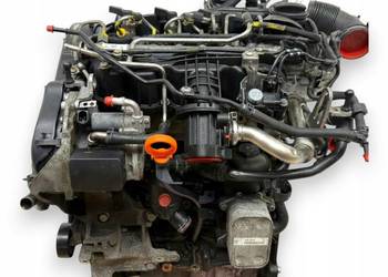 SILNIK CAY VW Golf VI Polo V Touran II 1T Passat B6 B7 1.6 TDI diesel CAYC