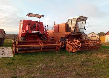 Bizon normal wersja eksportowa