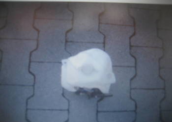 daihatsu sirion   02-04r zbiornik spryskiwaczy 860142075