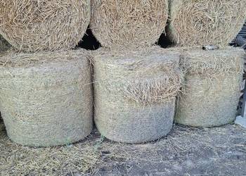 baloty słomy