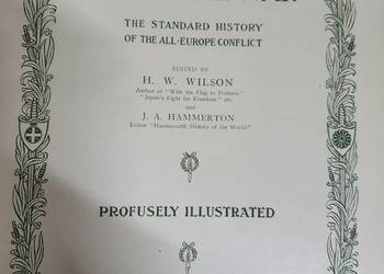 Historia  I wojny wg Wilsona