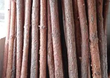 Stemple budowlane, słupy, podpory, szalunki