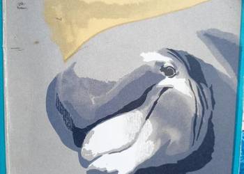 Sekrety delfinów Wernerowa książki Trójmiasto szkolne Gdańsk podręczniki