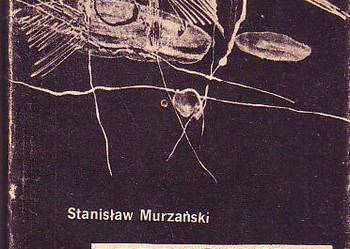 (992) PRZENIKANIE CIEMNOŚCI - STANISŁAW MURZAŃSKI