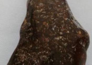 Bursztyn wisior Bursztyn wisior