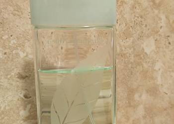 elizabeth arden zielona herbata 100 ml + gratis