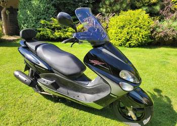 YAMAHA MAJESTY 125 ,kat.B prawa jazdy - italmotopila