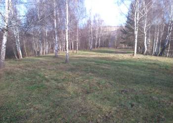 dz,bud-rol.1ha Chorowice 1ha