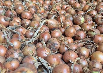 Sprzedam cebule żółtą | 60+ | Duży Kaliber | Obieranie | Derek |