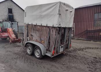 przyczepa do zwierzat koniowoz przyczepa do zwierzat koniowoz