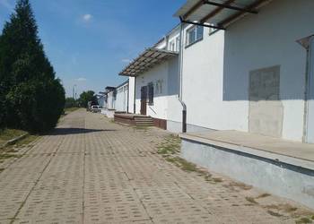 Sprzedam halę magazynową w Międzyrzeczu