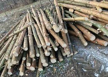 Stemple budowlane drewniane