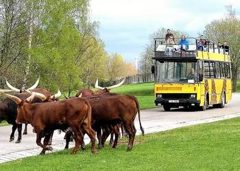 ZOO SAFARI, BROUMOV I ADRSPAH - Wyjazd z Nowego Sącza !