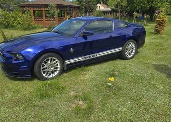Ford Mustang Premium Pony