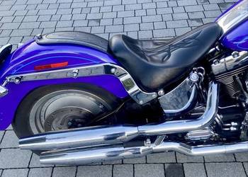 Siodło solo Harley Softail