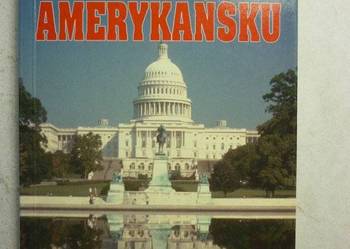 GŁĄBIŃSKI STANISŁAW - POLITYKA PO AMERYKAŃSKU