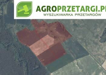 Dzierżawa 65,38 ha gruntu rolnego