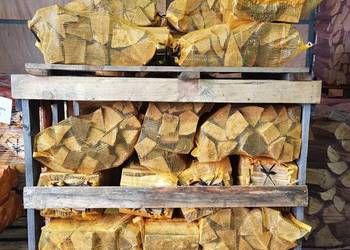 Brzoza oraz buk suche drewno na ognisko, grilla