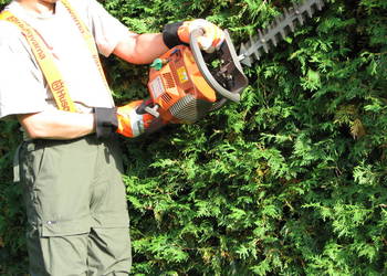 Wycinka Pielęgnacja Zrąbkowanie Koszenie Wywóz śmieci Utylizacja Kraków