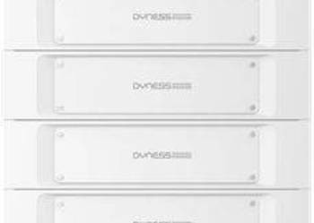 Magazyn Energii Dyness STACK100 61.44kWh LiFePO4 51.2V