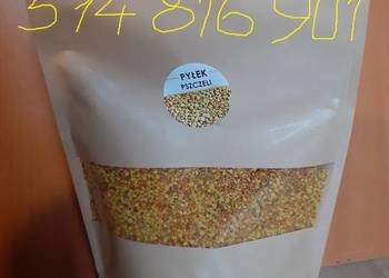 Pyłek kwiatowy pszczeli.