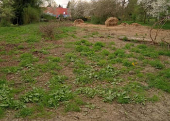 Na sprzedaż działka rolna Wilkanów